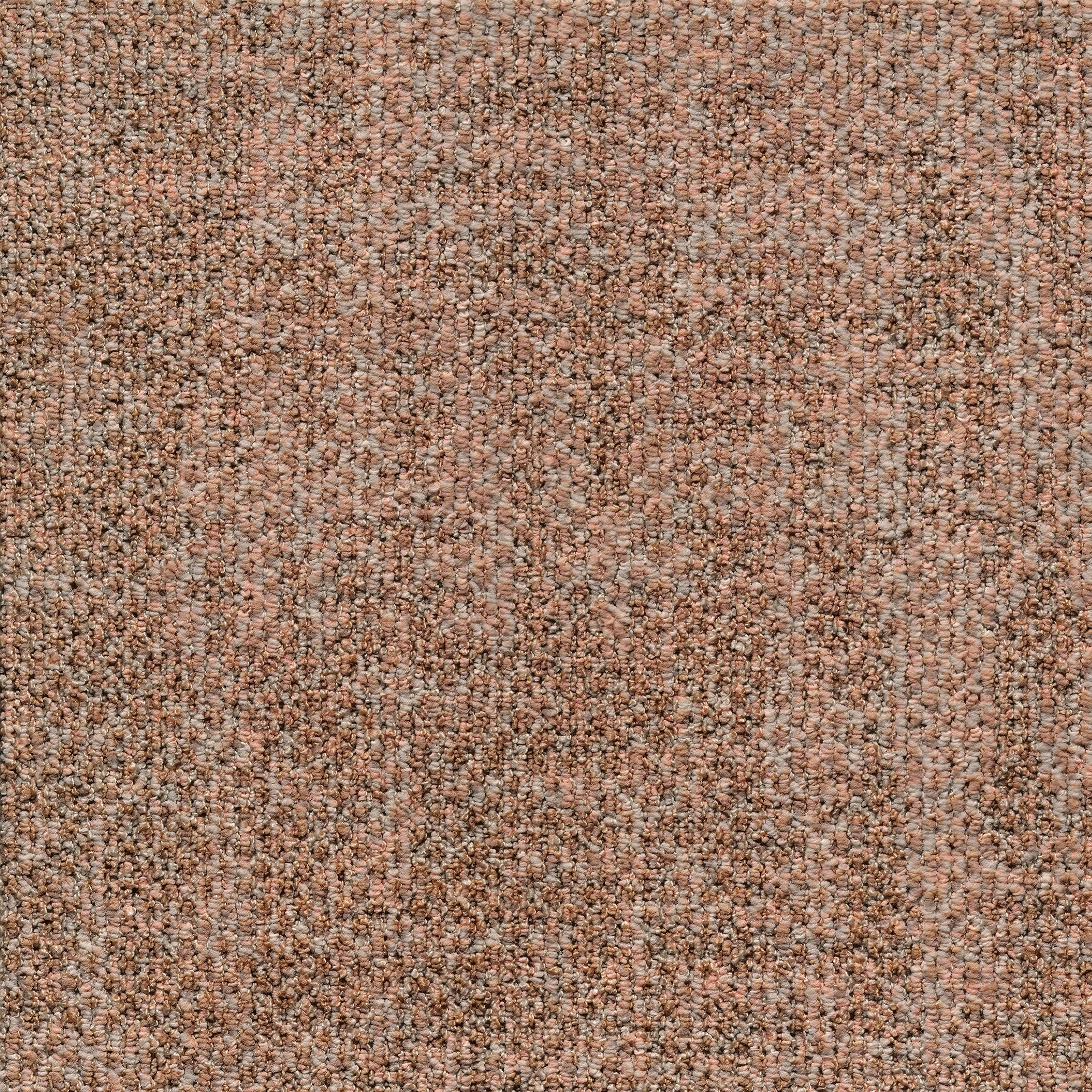 ReForm Transition Seed