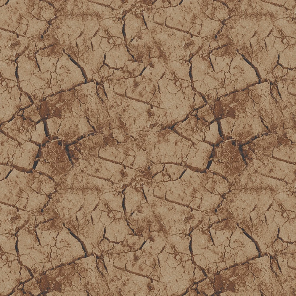 Mudcrack Brown