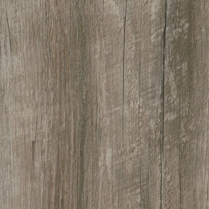 Coastal Pine