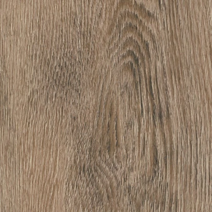 Toulouse Oak