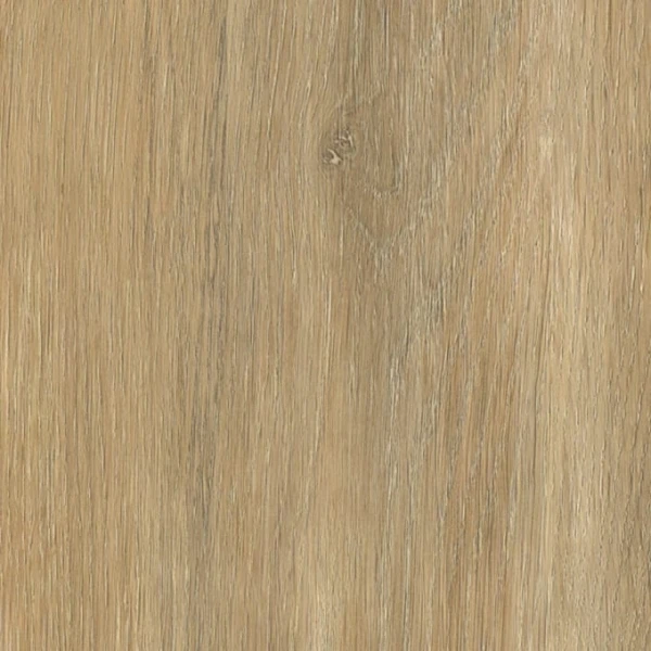 Darley Oak