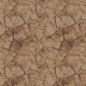 Mudcrack Brown