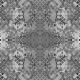 OBJECT CARPET FORUM Amy