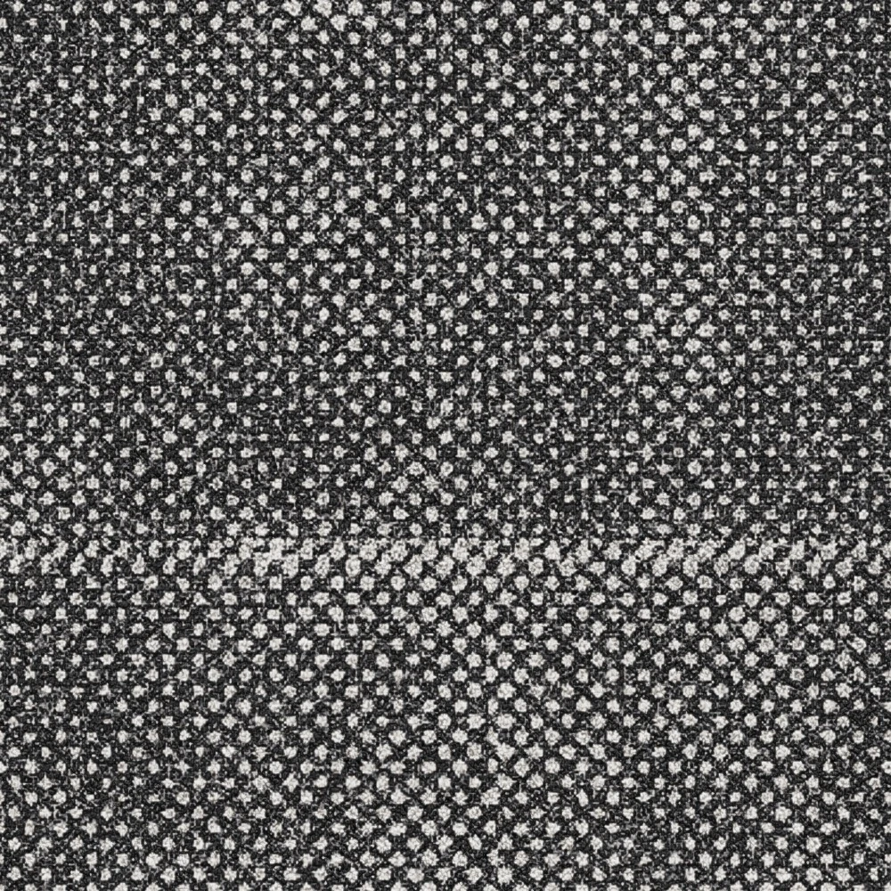 Seed