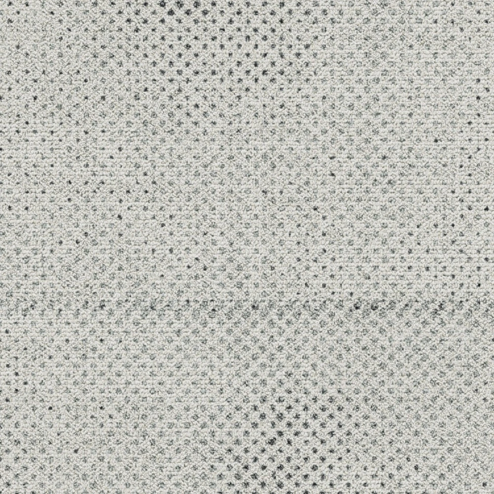 Seed