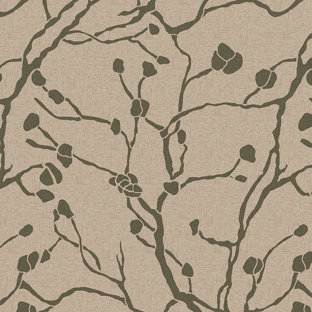 Spring Branch