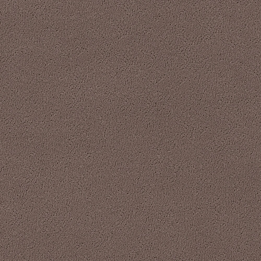 Texture 2000