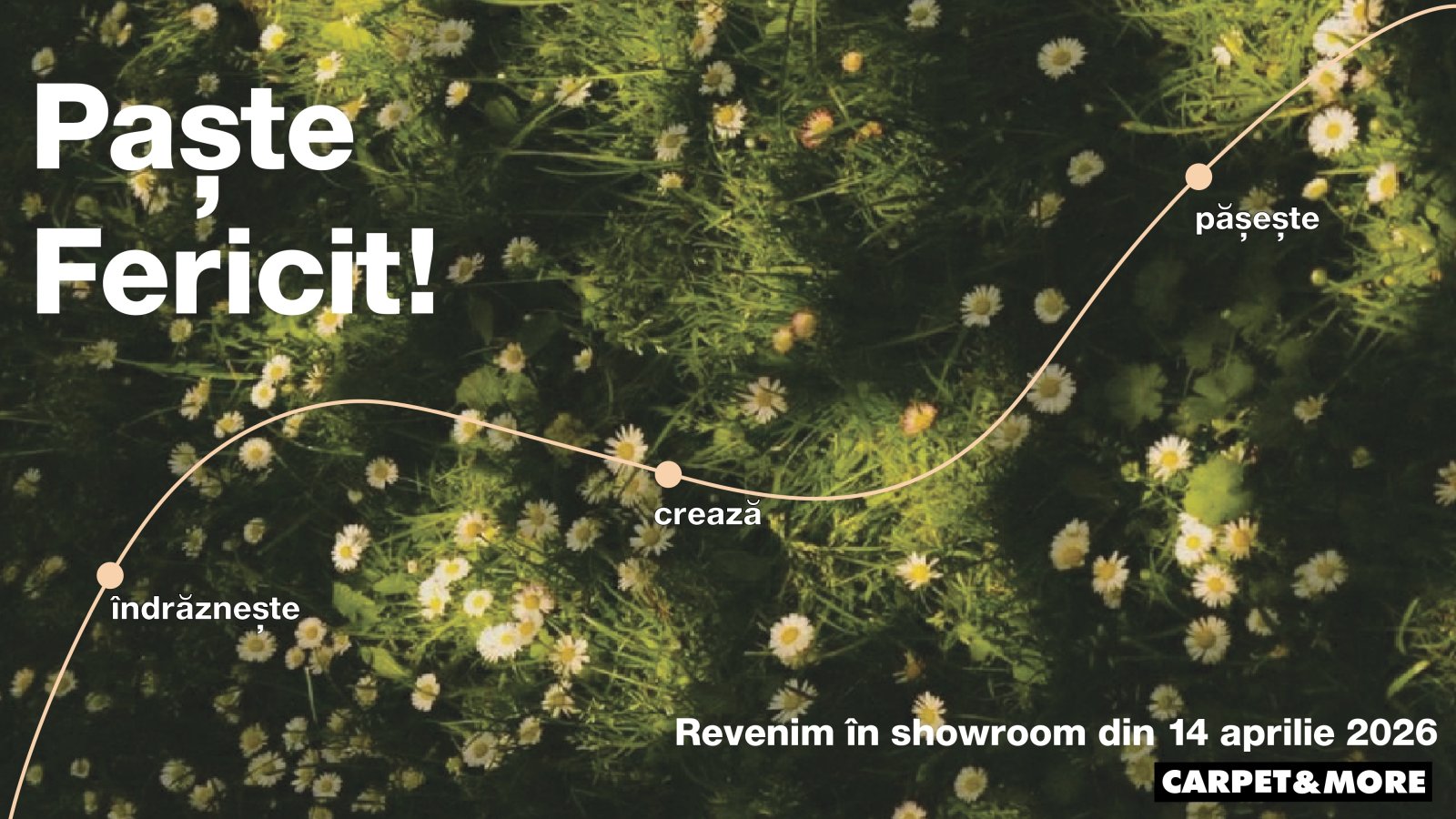 Programeaza-ti vizita la showroom!!